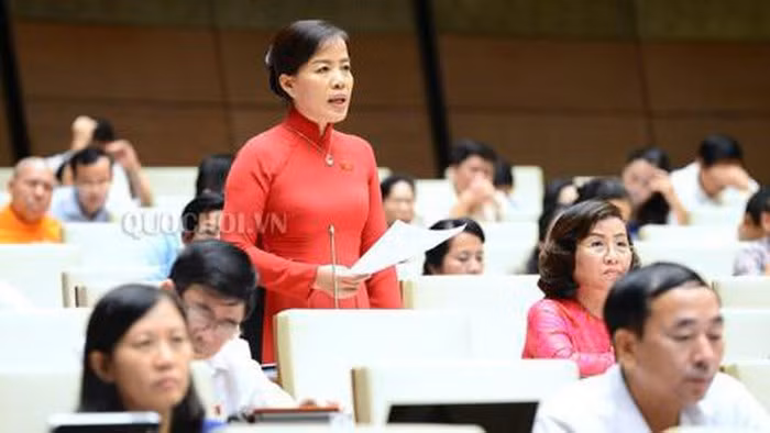 ĐBQH Nguyễn Thị Kim Thúy đoàn Đà Nẵng ĐBQH Nguyễn Thị Kim Thúy đoàn Đà Nẵng