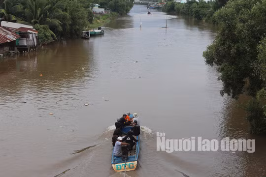 Đến khoảng 16 giờ ngày 23-10, các lực lượng cứu hộ tìm thấy thi thể anh T. Đến khoảng 16 giờ ngày 23-10, các lực lượng cứu hộ tìm thấy thi thể anh T.