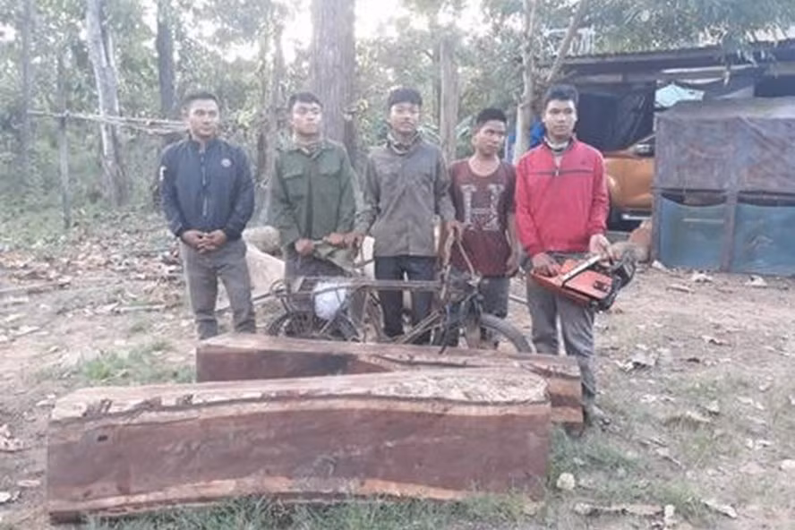 Cơ quan chức năng bắt nhóm thanh niên và gỗ tang vật.