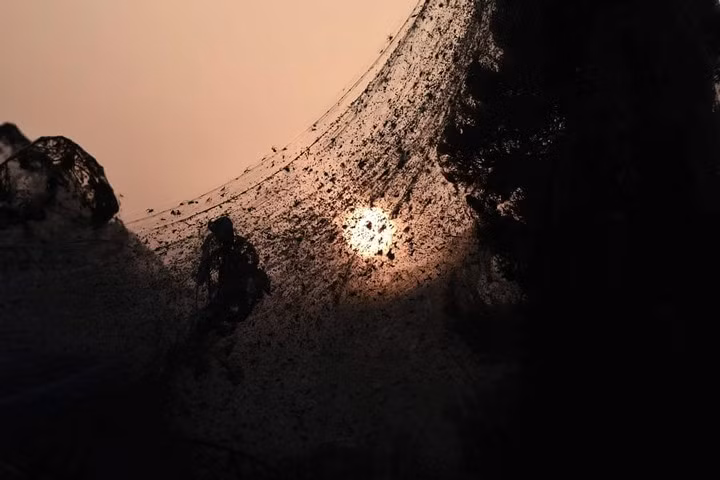 Những con nhện trên mạng nhện dài 1.000m chăng trên con đường bên cạnh hồ Vistonida, gần Xanthi, miền bắc Hy Lạp.