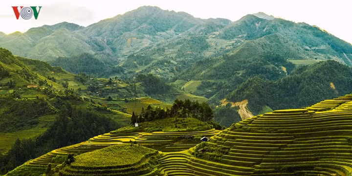  Đồi mâm xôi cách trung tâm huyện Mù Cang Chải tầm 8km, có độ cao tự nhiên 1000m – 1600m so với mặt nước biển với hình dáng tròn đều, nhô cao như mâm xôi đầy.