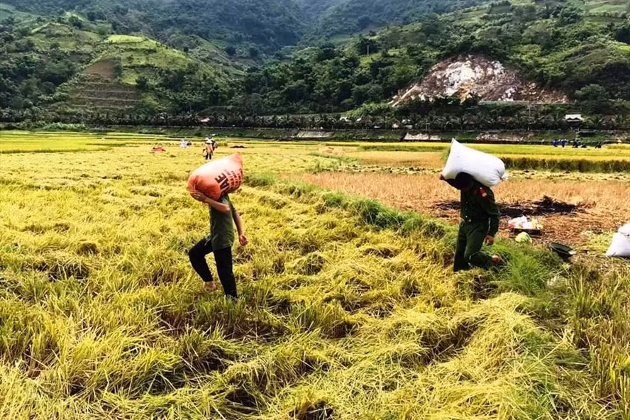  Cần linh hoạt các giải pháp để lưu thông điểm nghẽn gây ách tắc trong xuất khẩu gạo. Ảnh: Nguyễn Anh Tuấn