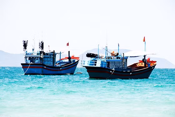 Tàu cá khai thác trên biển
