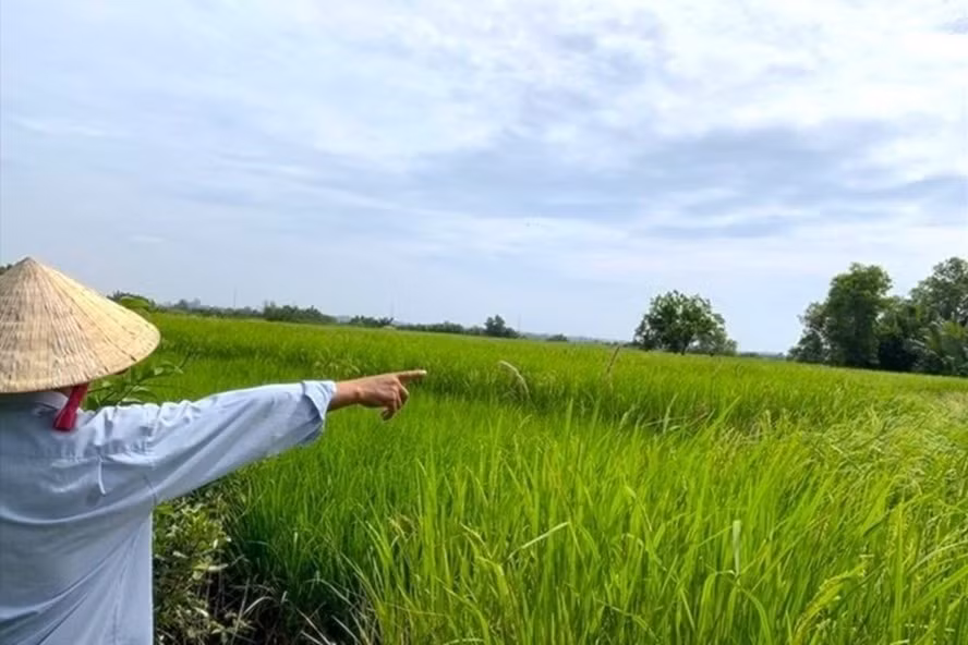 Đối với đất dính quy hoạch treo thì chỉ có thể làm sổ đỏ nếu có công bố hủy bỏ thu hồi đất. Ảnh: LĐO