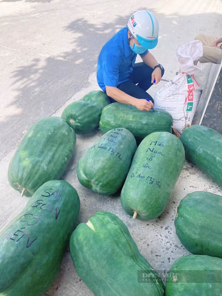 Chuyển bí đao vào Nam với quyết tâm chống dịch. Ảnh: TB Chuyển bí đao vào Nam với quyết tâm chống dịch.