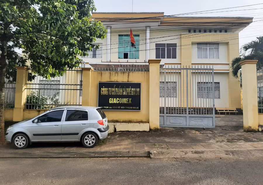 Công ty TNHH một thành viên Cà phê Gia Lai (nay là Công ty cổ phần Cà phê Gia Lai) đã có nhiều sai phạm trước khi cổ phần hóa. Ảnh: Văn Ngọc