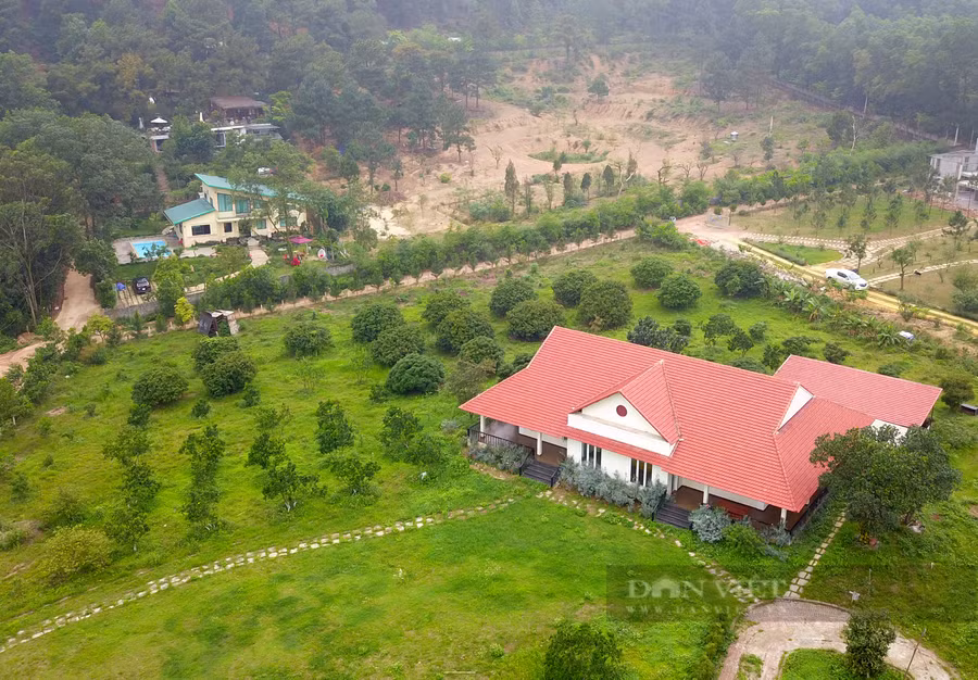 Những ngôi nhà 