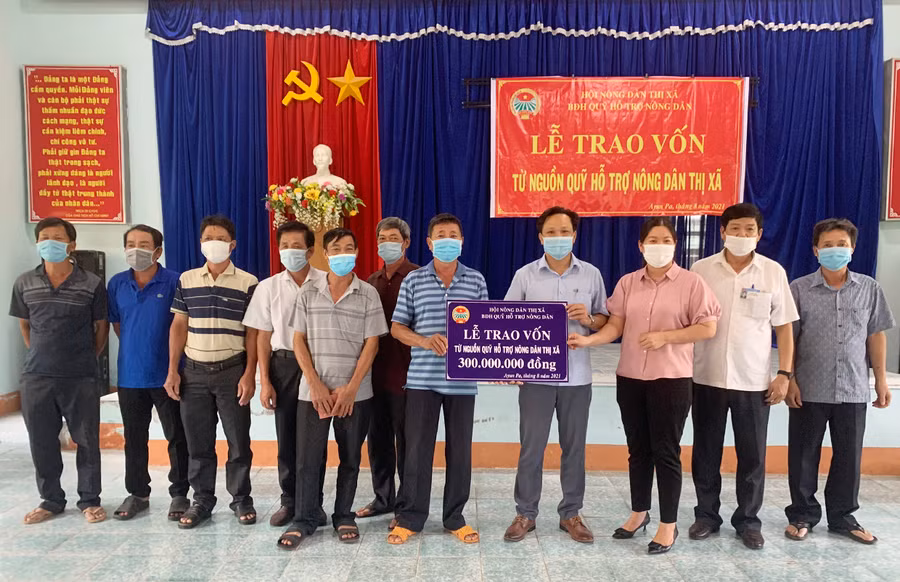  Ban Điều hành Quỹ Hỗ trợ nông dân (Hội Nông dân thị xã Ayun Pa) trao nguồn vốn vay cho các hội viên nông dân phường Sông Bờ để phát triển mô hình chăn nuôi heo. Ảnh: Vũ Chi