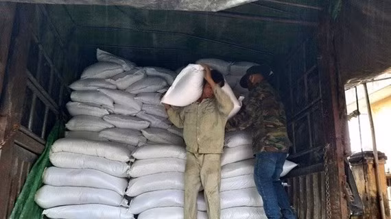  Xuất gạo dự trữ quốc gia để cứu trợ khẩn cấp cho người dân. (Ảnh minh hoạ: Quốc Dũng/TTXVN)