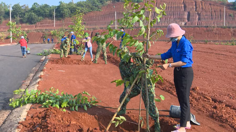 Hoạt động trồng cây xanh được tổ chức thường niên trên địa bàn thành phố Gia Nghĩa (Đắk Nông)