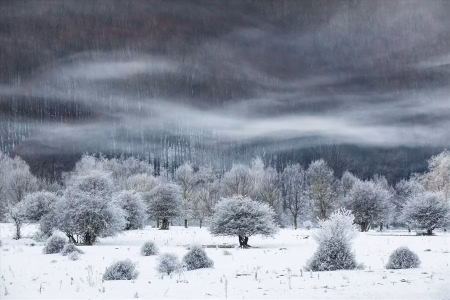 Tác phẩm lọt top 101 bức ảnh hàng đầu của nhiếp ảnh gia Mimmo Salierno. Ảnh: International Landscape Photographer of the Year 2021
