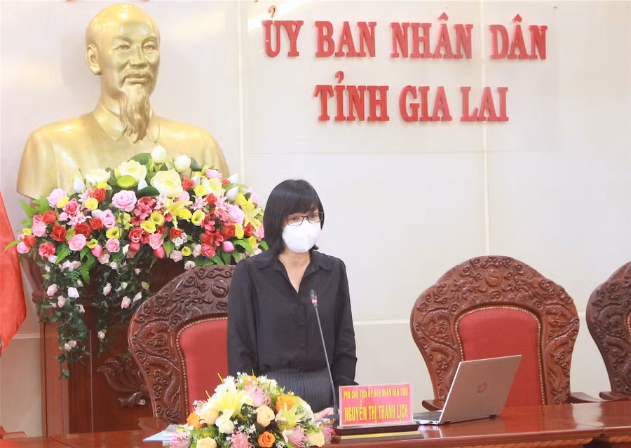 Phó Chủ tịch UBND tỉnh Nguyễn Thị Thanh Lịch kết luận cuộc họp. Ảnh: Mộc Trà
