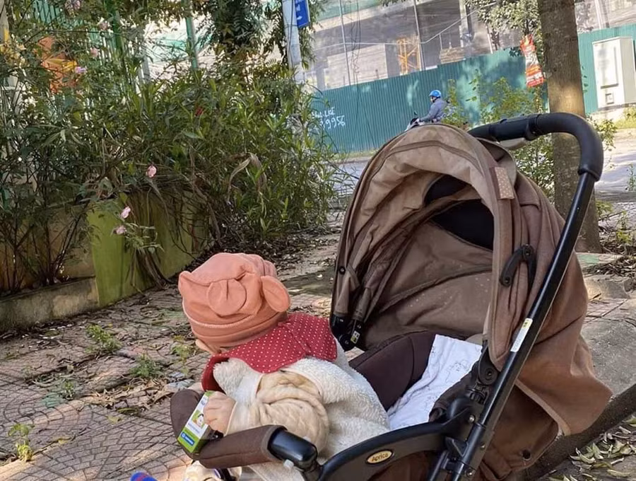  Cơ sở mầm non tư thục ở Q.Hà Đông tiêu điều, cỏ mọc kín do “bỏ hoang” quá lâu. Ảnh: Hồng Minh