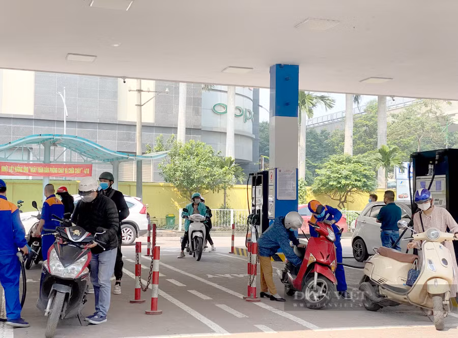 Giá xăng dầu đang phải 