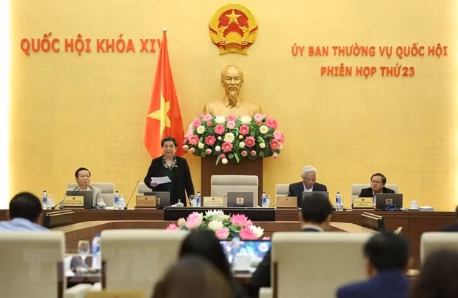 Phó Chủ tịch Thường trực Quốc hội Tòng Thị Phóng phát biểu ý kiến. Phó Chủ tịch Thường trực Quốc hội Tòng Thị Phóng phát biểu ý kiến.