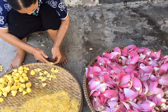  Đến khu Caraih này, bạn còn được quan sát quá trình làm trà sen. Cứ vào mỗi buổi sớm, người dân lại ra đồng để chọn những đóa hoa tươi nhất và lá sen đủ vừa để mang về.