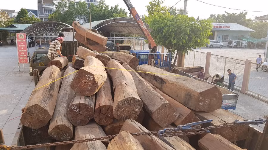 Số lượng lớn gỗ chưa rõ nguồn gốc được ngành chức năng phát hiện.