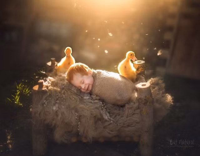 Những hình ảnh này đã giúp tôi chữa lành vết thương. Chúng tôi sẽ sớm mang về nhà hai con chó tuyệt vời và một trong số chúng sẽ được đặt tên là Mustang.