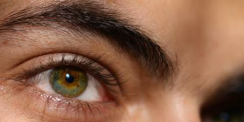 Ảnh: Shutterstock 