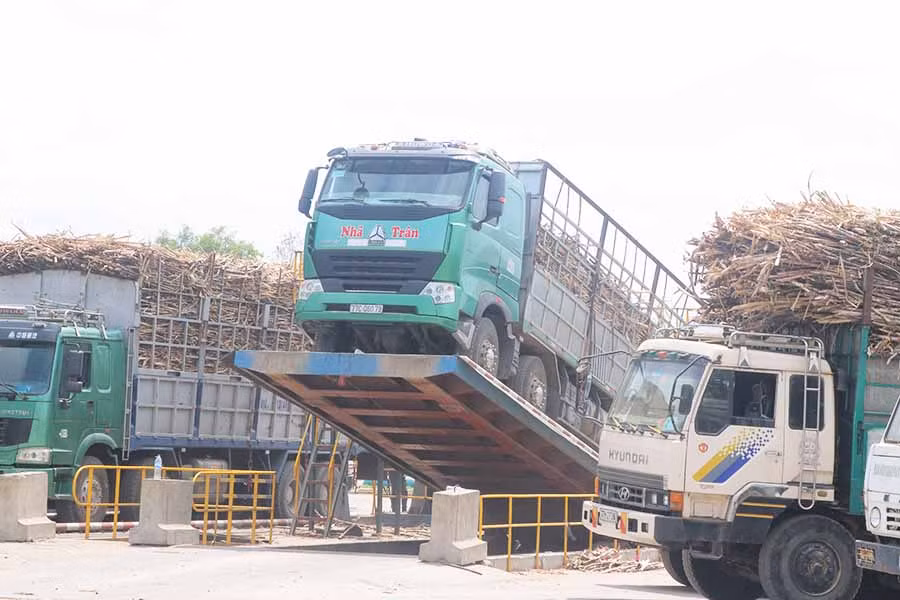 Vụ ép mía 2019-2020 Nhà máy Đường An Khê triển khai xe vận chuyển mía về nhà máy thông qua các hợp tác xã. Ảnh: Ngọc Minh