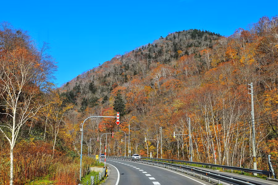 Hokkaido vào thu có vô vàn góc đẹp cho du khách thưởng ngoạn - Ảnh: NGÔ TRẦN HẢI AN