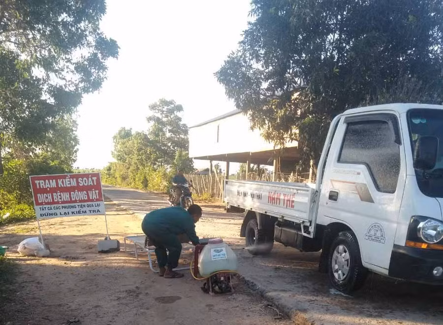 Tiêu độc khử trùng các phương tiện ra vào địa bàn để ngăn chặn sự lây lan của dịch bệnh tả lợn châu Phi. Ảnh: Mai Linh