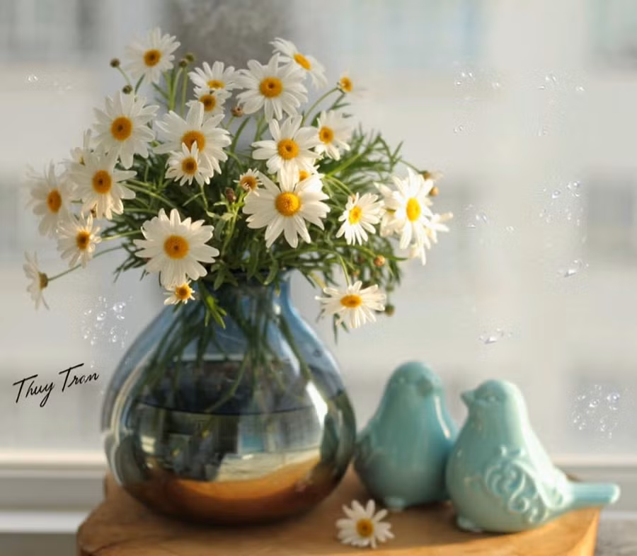  Chẳng cần cầu kỳ, bạn chỉ cần chuẩn bị một bình thủy tinh nhỏ và một bó hoa cúc họa mi là đã có ngay bình hoa cực xinh khiến căn phòng sáng bừng, đầy sức sống.