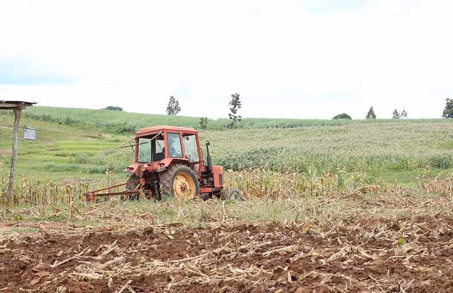  Người dân cày đất chuẩn bị sản xuất vụ Đông Xuân 2019-2020. Ảnh: L.N