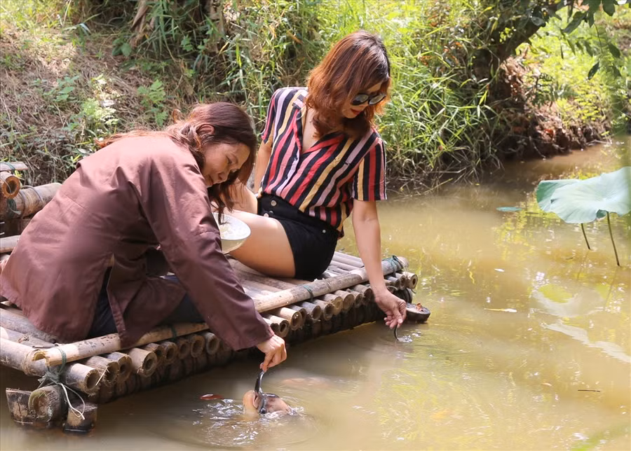 Khách du lịch dùng muỗng đút cơm trắng cho đàn cá 