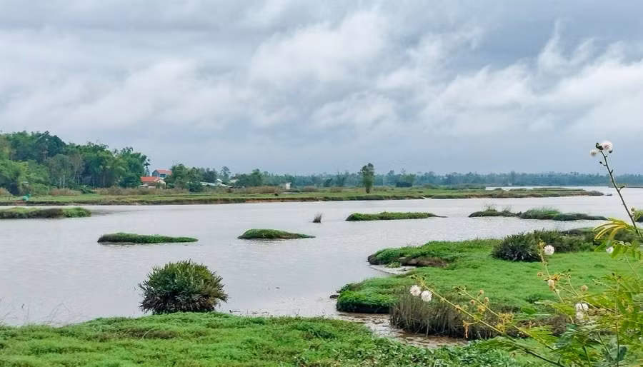 Khu vực sông Bàn Thạch (TP.Tam Kỳ, Quảng Nam) nơi nhóm thiếu niên gặp nạn. Ảnh: C.X