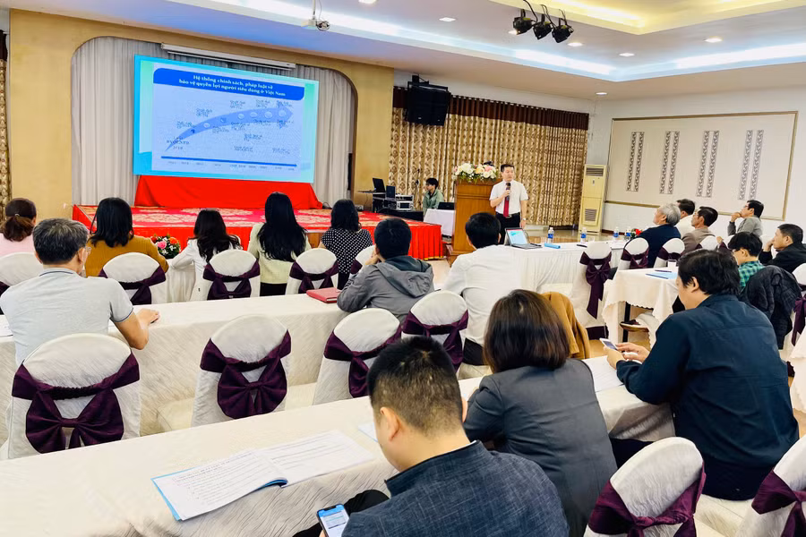Quang cảnh hội nghị tập huấn. Ảnh: Vũ Thảo Quang cảnh hội nghị tập huấn. Ảnh: Vũ Thảo