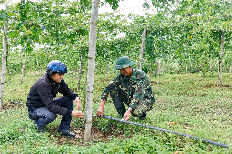 Anh Đào Văn Long ở thôn 2 xã Hà Tam huyện Đăk Pơ cho biết, trước đây người dân thường căn theo sự ước lượng, kinh nghiệm, có khi tưới đến 4-5 giờ, vừa lãng phí nhân công, vừa lãng phí nước. Từ khi áp dụng mô hình tưới tiết kiệm, gia đình kiểm soát được lượng nước tưới vừa đủ nhu cầu nước của cây, không bị lãng phí. 