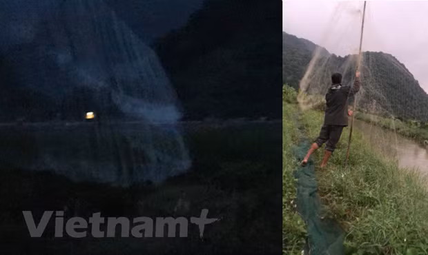 Bẫy lưới tàng hình săn bắt chim được giăng trắng khắp xã Cát Hải, thị trấn Cát Bà. (Ảnh:PV/Vietnam+)