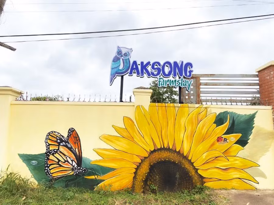 Lối vào Paksong Farmstay khá ấn tượng. Ảnh: Nguyễn Giang
