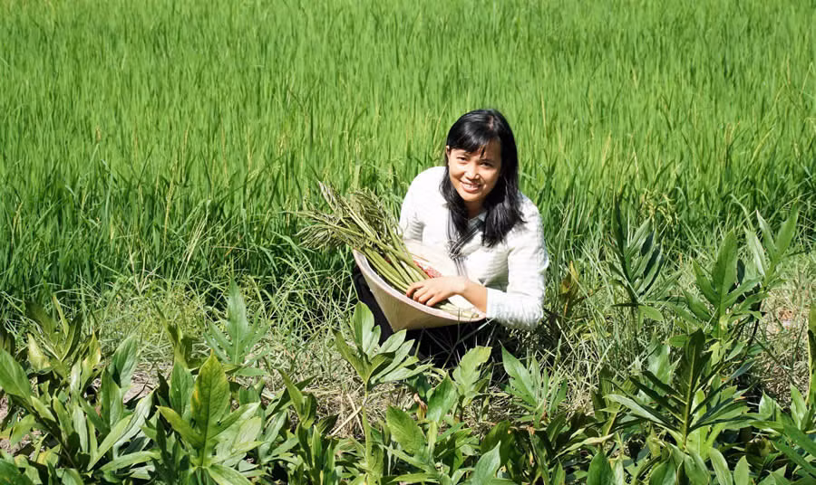 Món quê dân dã (ảnh minh họa).