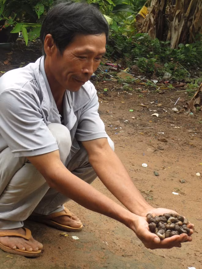Anh Nguyễn Hữu Tài, người chuyên săn ốc núi bán cho khách du lịch ẢNH: THIÊN LỘC
