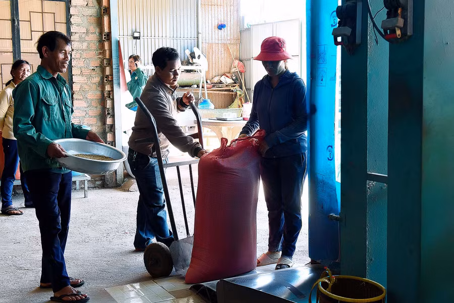  Việc ký kết sản xuất và bao tiêu sản phẩm lúa gạo A Sanh sẽ giúp người dân yên tâm sản xuất khi tham gia mô hình liên kết.