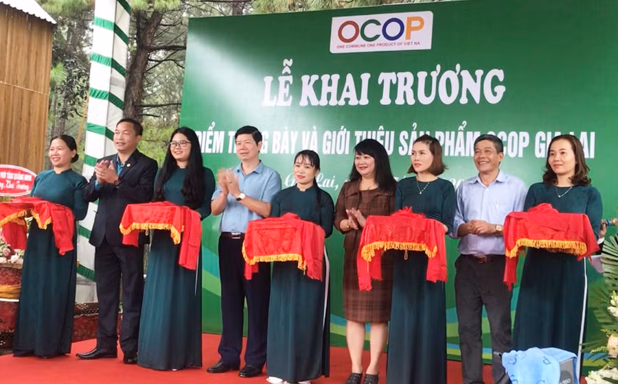 Hợp tác xã Nông nghiệp Liên hiệp Gia Lai (GAUC) khai trương điểm trưng bày và bán sản phẩm OCOP tại khu du lịch Biển Hồ (TP. Pleiku). Ảnh: Diệp Tấn
