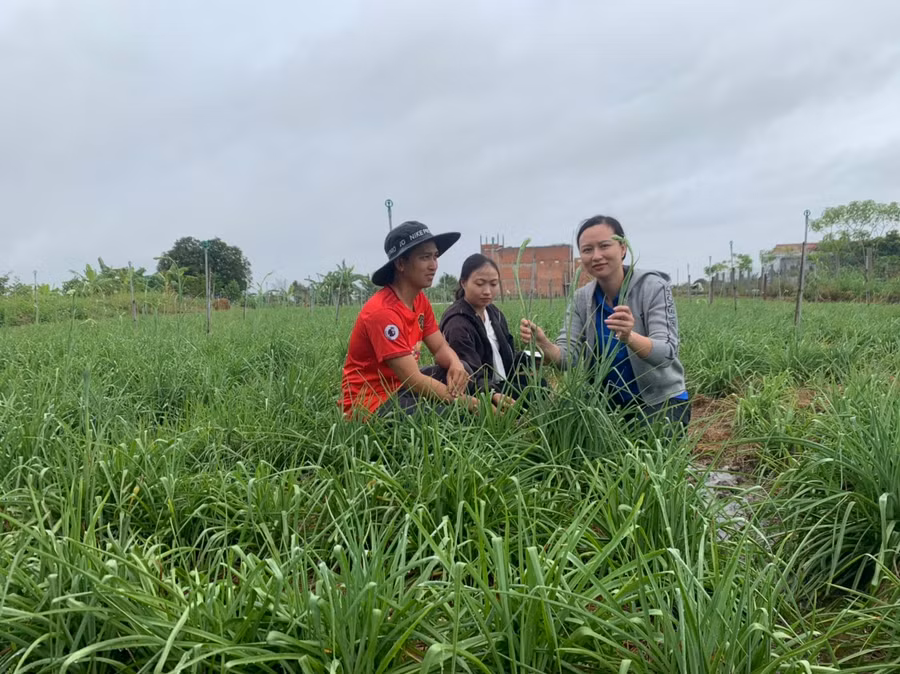 Anh Rcom Tuấn Anh (thôn Thanh Trang, xã Ia Yeng) chia sẻ kinh nghiệm trồng hoa huệ. Ảnh.Vũ Chi