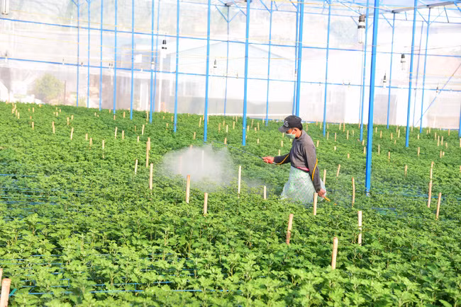 Việc lạm dụng phân bón và thuốc bảo vệ thực vật đã làm đất bị thoái hóa, chất lượng nông sản bị suy giảm.