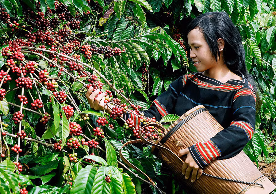  Ảnh minh họa: Đức Thụy