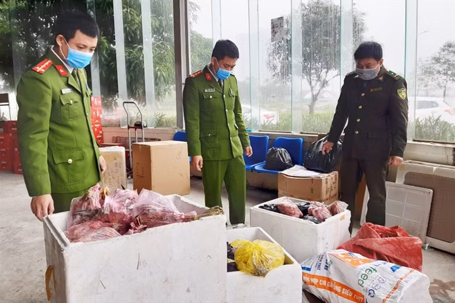 Lực lượng chức năng Hà Tĩnh bắt vụ vận chuyển 209 con chim Vạc đã sơ chế đông lạnh. Ảnh: CA. Lực lượng chức năng Hà Tĩnh bắt vụ vận chuyển 209 con chim Vạc đã sơ chế đông lạnh. Ảnh: CA.