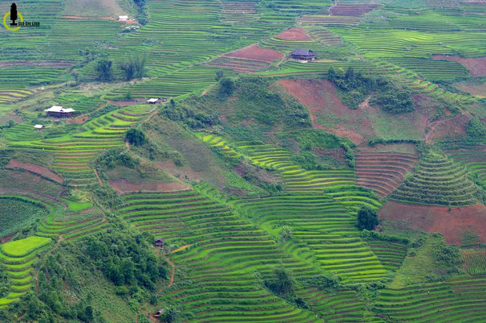 Khung cảnh hùng vĩ của ruộng bậc thang Bản Mù huyện Trạm Tấu, những tuyệt tác hình thành dưới bàn tay con người.