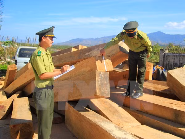 Ảnh minh họa Ảnh minh họa