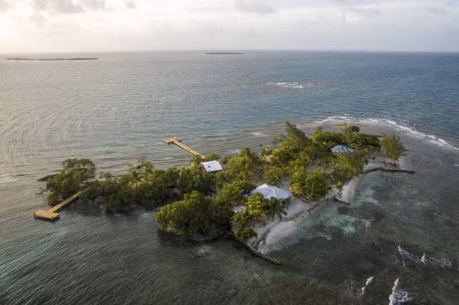 Đạo diễn Francis Ford Coppola khai trương khu nghỉ dưỡng Coral Caye ở Belize vào năm 2016. Hệ sinh thái biển xung quanh đảo rất đa dạng.