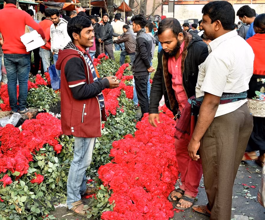 Người dân chọn mua hoa hồng cho ngày Lễ Tình yêu 14/2 tại Dhaka, Bangladesh. 
