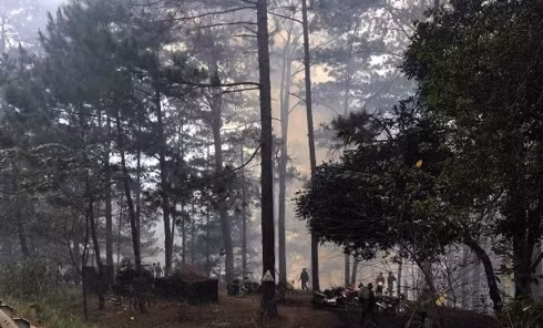 Hiện trường đám cháy rừng trên đèo Prenn.