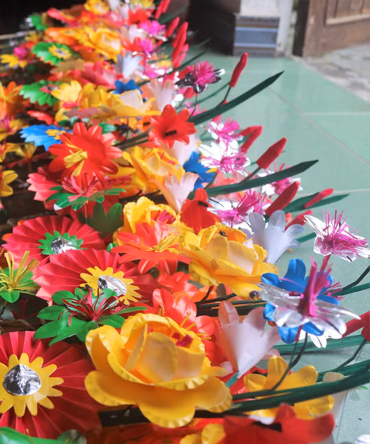 Những cành hoa giấy hoàn chỉnh