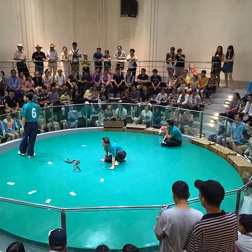  Đến với Trung tâm Nghiên cứu Rắn độc Hoàng gia Thái Lan (thuộc Đại học Chulalongkorn, tọa lạc tại một vùng ngoại ô thủ đô Bangkok), du khách được thưởng thức buổi biểu diễn đặc biệt do những chú rắn thực hiện. Sau khi xem biểu diễn, du khách có thể tham quan phòng trưng bày các sản phẩm được chế biến từ rắn và được nghe thuyết trình về sự sinh sản, chu kỳ phát triển của rắn; sự nguy hiểm cũng như công dụng của rắn... Khách tham quan cũng có thể chạm vào những chú rắn và lưu lại những tấm ảnh độc đáo cùng với loài bò sát nguy hiểm này.