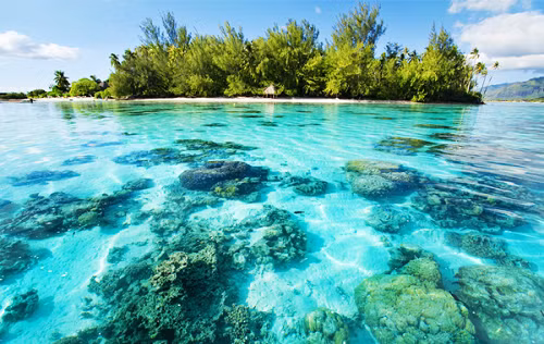 Nằm cách bờ biển phía Đông Nam của Phuket khoảng 3km, đảo Coral (hay đảo San Hô) sở hữu hơn 4,5km bờ biển với hơn 90% diện tích được phủ bởi rừng nguyên sinh cùng hệ thống động thực vật phong phú. Điểm thu hút du khách nhất tại đây là chương trình lặn biển ngắm san hô, nhờ có nhiều rặng san hô đẹp cùng những sinh vật biển đa dạng. Ngoài ra, bạn còn có thể tự do trải nghiệm bờ cát trắng, bãi biển nước trong tới tận đáy, cũng như tham gia một số môn thể thao như đua ca nô, đi xe trượt nước, nhảy dù trên biển, lướt sóng...